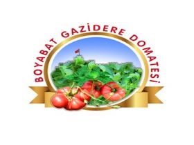 Boyabat Gazidere Domatesi