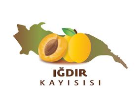 Iğdır Kayısısı