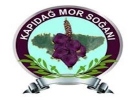 Kapıdağ Mor Soğanı