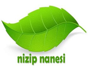 Nizip Nanesi