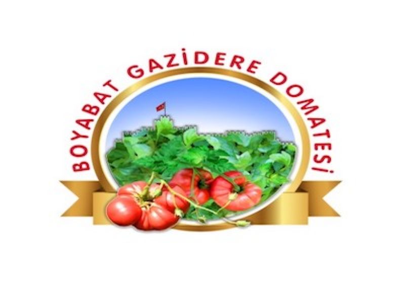 Boyabat Gazidere Domatesi