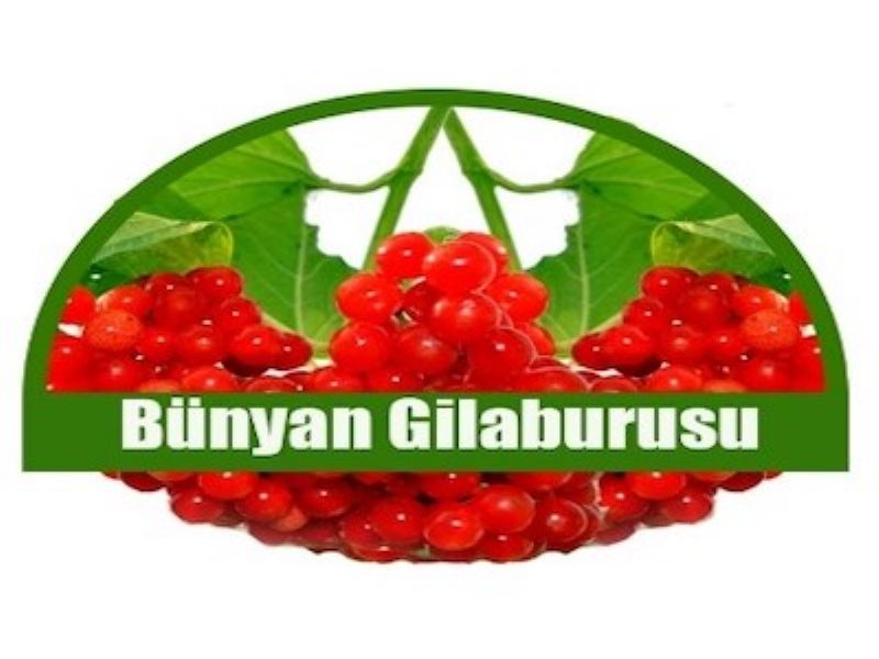 Bünyan Gilaburusu