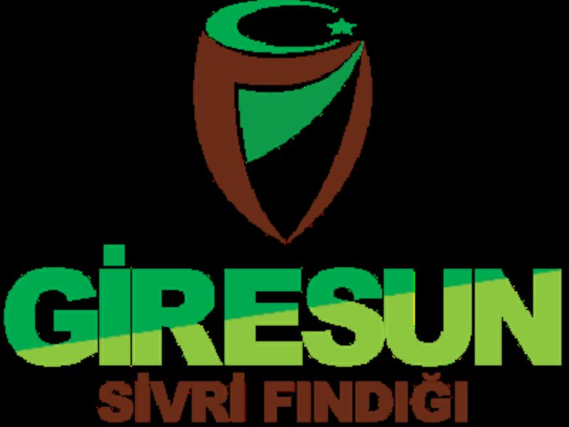 Giresun Sivri Fındığı