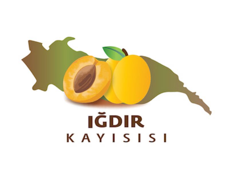 Iğdır Kayısısı