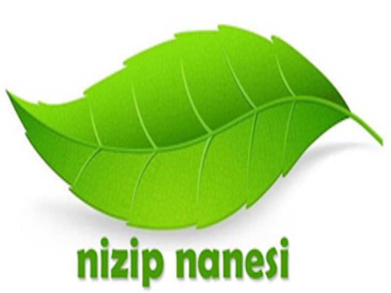 Nizip Nanesi